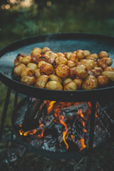 Potatoes with meat fried on fire, picnic in nature