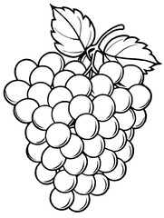 illustration of grapes line art, vector art