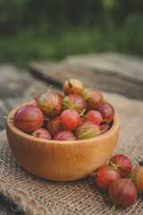 Ripe gooseberry in a wooden plate on nature
