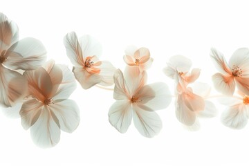 Ethereal beauty of floating flowers captivates the senses
