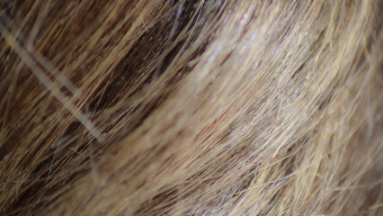 Close-up brown hair background pattern