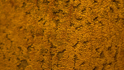 A traditional Indian, Iranian, Persian, Ottoman or Middle Eastern silk rug or carpet pattern design.