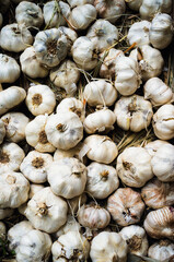 The market stalls are adorned with bunches of garlic, showcasing their dry outer layers and fresh interiors. 
