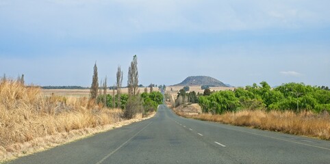 Rural road near the town of Reitz in the Freestate Province of South Africa