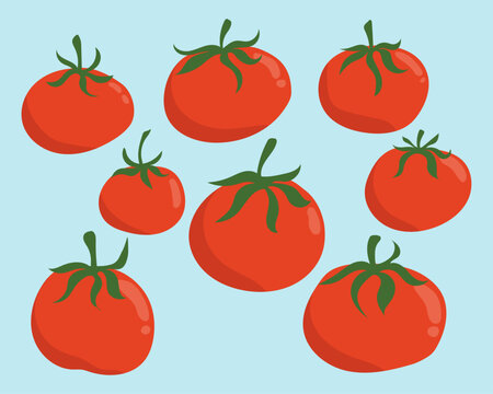 Tomatoes Vector Cute Playful Illustrations Set