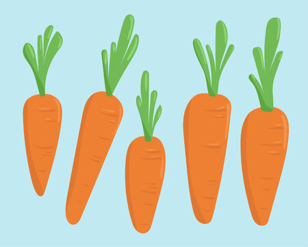 Carrots Vector Cute Playful Illustrations Set