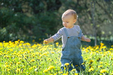 1 year old baby on a green meadow with yellow flowers, demography and fertility