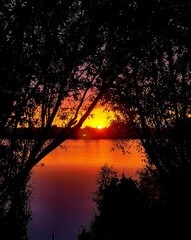 Sunset at Fairlop Park Ilford (June 2024)