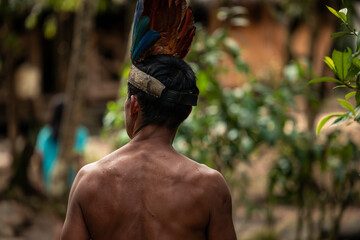 Wayuri tribe warrior in Amazon, Ecuador, with feather crown seen from behind