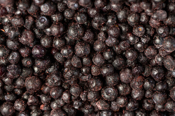 blueberry harvest frozen quickly to preserve vitamins