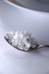 Lilac flowers in a spoon