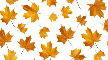 Fototapeta premium Autumnal Maple Leaf Pattern