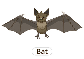 Forest animal bat cartoon for children PNG illustration