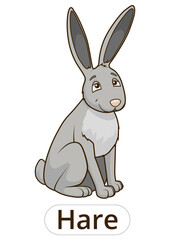 Forest animal hare cartoon for children PNG illustration