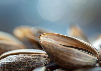 Obraz premium High-Resolution Closeup of Shellfish in a Shallow Depth of Field