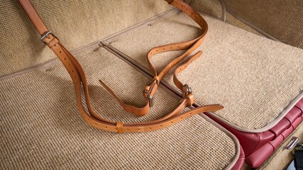 Luggage straps in a car