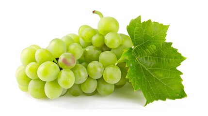 Obraz premium Green grape with leaves isolated on white. With clipping path. Full depth of field. 