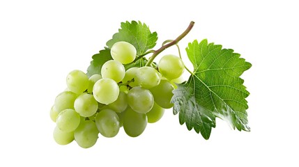 Obraz premium Green grape with leaves isolated on white. With clipping path. Full depth of field. 