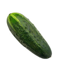 A fresh cucumber with dark green textured skin and slightly tapered shape, isolated on a white background.
