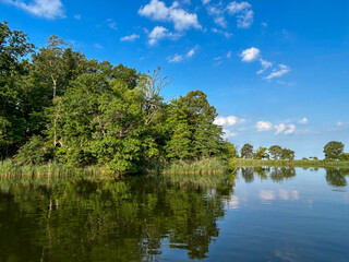 lake and trees