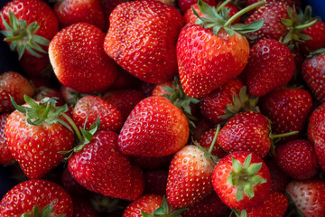 Fresh strawberries from natural farms, export