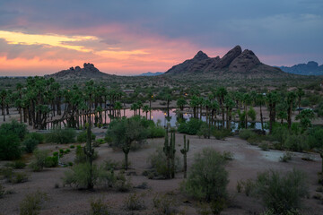 Sunset in the desert