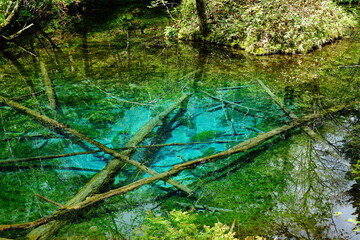 太陽に照らされる神の子池