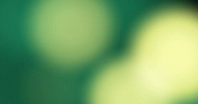 Green nature luxury bokeh background. Dust and Mist background. Loop Animation