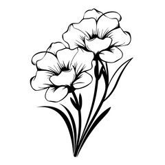 Obraz premium Vector Illustration of a Freesia Flower