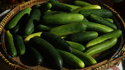 Cucumbers in a bamboo basket exposed to sunlight. Focus selected