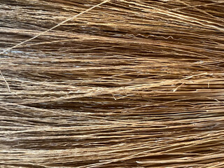 brown broom texture background. macro photography, top view