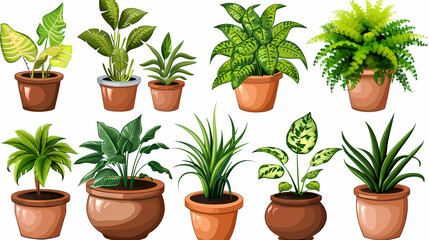 Fototapeta premium Set of different plants in pots isolated on white background illustration