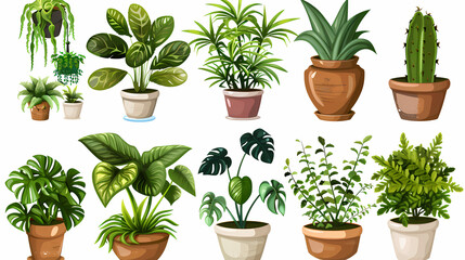 Obraz premium Set of different plants in pots isolated on white background illustration
