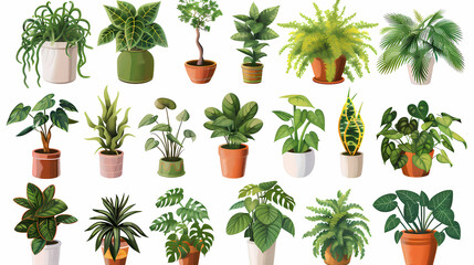 Set of different plants in pots isolated on white background illustration