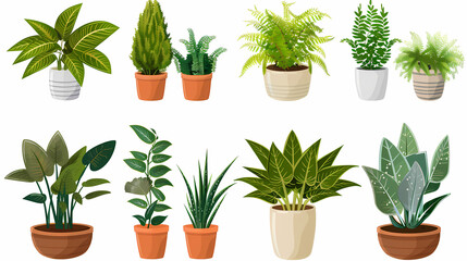 Set of different plants in pots isolated on white background illustration