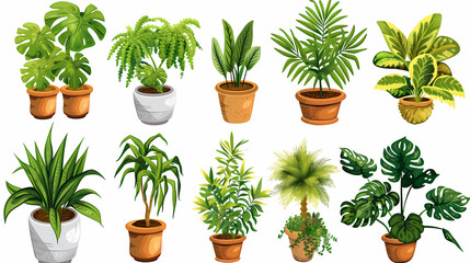 Obraz premium Set of different plants in pots isolated on white background illustration