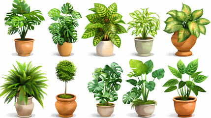 Fototapeta premium Set of different plants in pots isolated on white background illustration