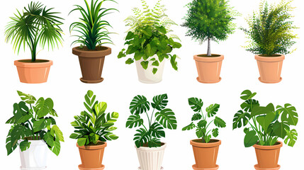 Fototapeta premium Set of different plants in pots isolated on white background illustration