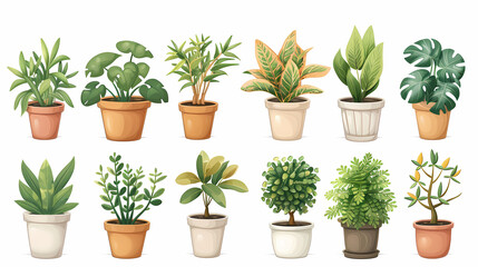 Fototapeta premium Set of different plants in pots isolated on white background illustration