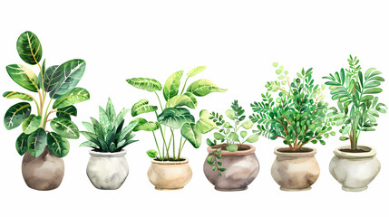Obraz premium Set of different plants in pots isolated on white background illustration