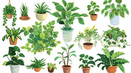 Obraz premium Set of different plants in pots isolated on white background illustration