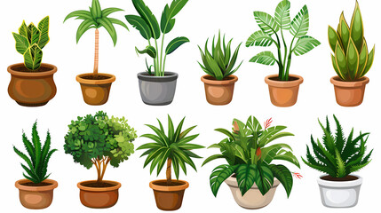 Obraz premium Set of different plants in pots isolated on white background illustration