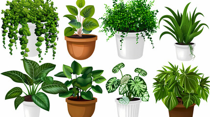 Fototapeta premium Set of different plants in pots isolated on white background illustration