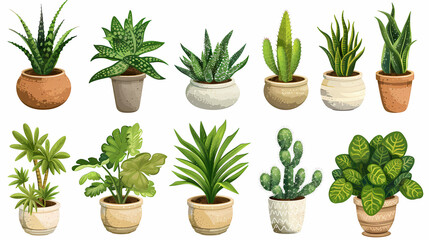 Fototapeta premium Set of different plants in pots isolated on white background illustration