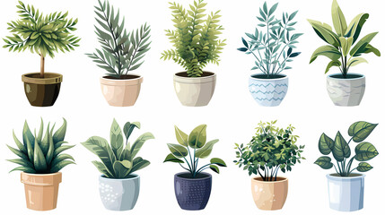 Obraz premium Set of different plants in pots isolated on white background illustration