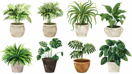 Obraz premium Set of different plants in pots isolated on white background illustration