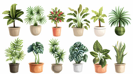 Fototapeta premium Set of different plants in pots isolated on white background illustration