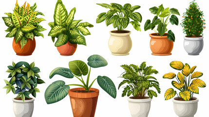 Fototapeta premium Set of different plants in pots isolated on white background illustration