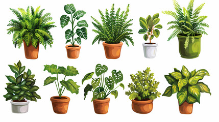 Fototapeta premium Set of different plants in pots isolated on white background illustration