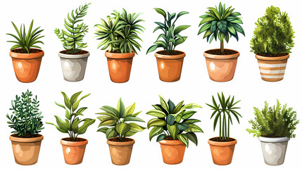 Set of different plants in pots isolated on white background illustration